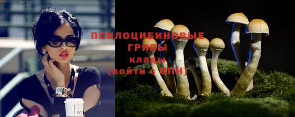 Альфа ПВП Великий Новгород