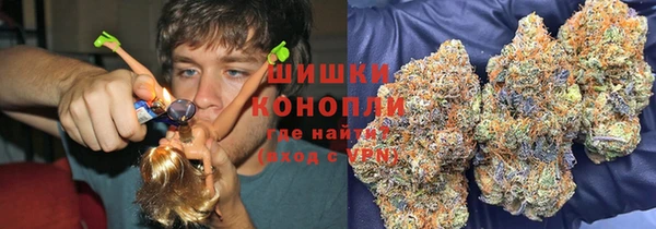 Альфа ПВП Великий Новгород