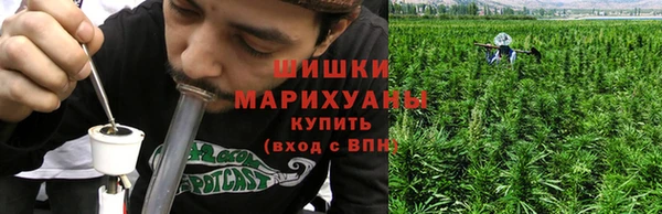 Альфа ПВП Великий Новгород