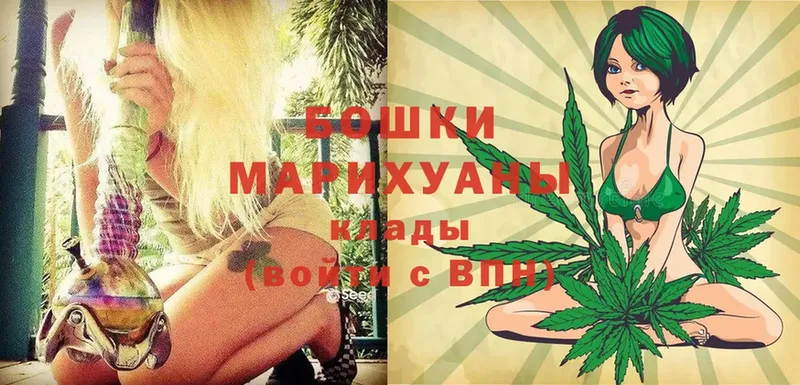 где можно купить   Бежецк  Конопля планчик 